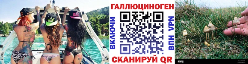 Псилоцибиновые грибы прущие грибы  Судогда 